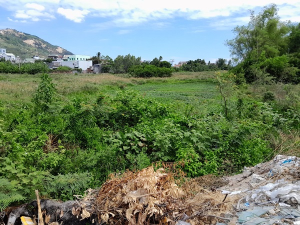 hdnd28082023010